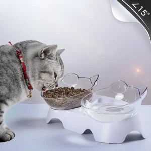 Non-Slip Cat Double Pet Bowls With Stand Food Feed And Water Bowls Inclination Stand Cats Feeders Feeding Kitten Supplies